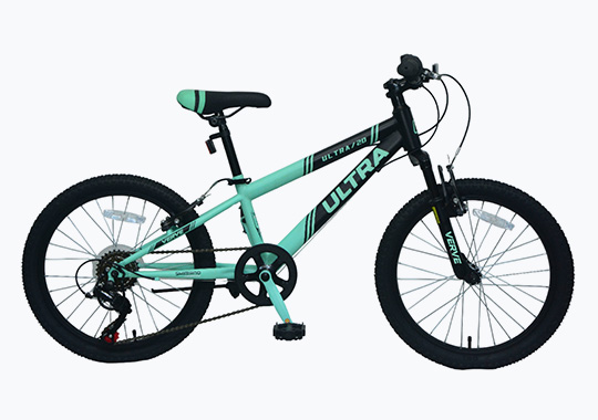 20 Inch Verve Ultra Mountain Bike Mint