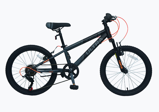 20 Inch Verve Ultra Mountain Bike Grey