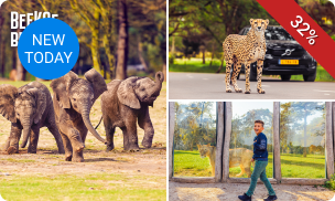 Entree Safaripark Beekse Bergen