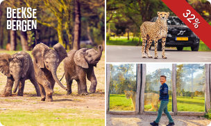 Entree Safaripark Beekse Bergen