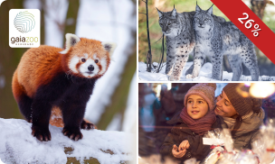 Entree voor GaiaZOO tijdens kerstvakantie + evt. glühwein of warme chocomel