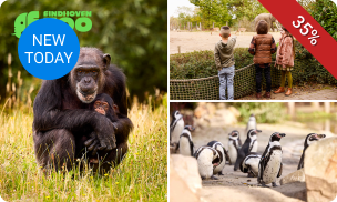 Gehele dag entree tot Eindhoven Zoo