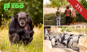 Gehele dag entree tot Eindhoven Zoo (voorheen Dierenrijk)