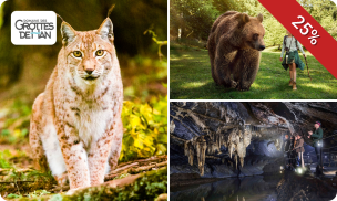 Entree tot Grotten van Han, Wildpark en meer