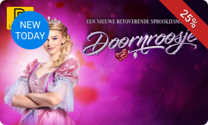 Ticket voor de musical Doornroosje