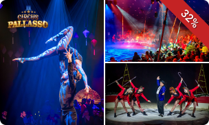 Ticket Wintercircus Pallasso