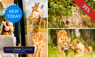 Entree Safaripark Beekse Bergen