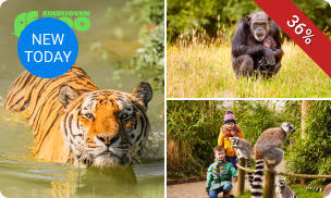 Gehele dag entree tot Eindhoven Zoo