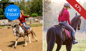 1 of 5 paardrijles(sen) naar keuze (1 uur)