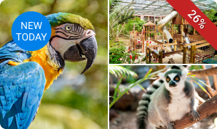 Dagentree Papegaaienpark Zoo Veldhoven