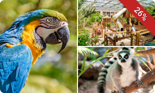 Dagentree Papegaaienpark Zoo Veldhoven
