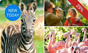 Entree tot Spring Days bij Brook Valley Zoo + drankje + versnapering