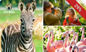 Entree tot Spring Days bij Brook Valley Zoo + drankje + versnapering