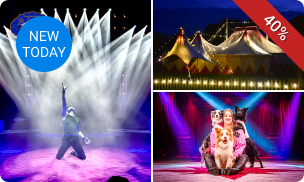 Entree voor The Magical World of Circus