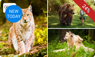 Entree tot het Wildpark (entree kind: 4 t/m 11 jaar)