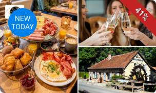 Luxe ontbijt in bosrijke omgeving