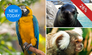 Entree voor Mont Mosan nabij Huy