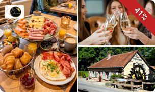 Luxe ontbijt in bosrijke omgeving