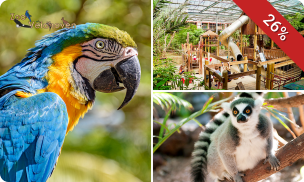 Dagentree Papegaaienpark Zoo Veldhoven