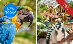 Dagentree Papegaaienpark Zoo Veldhoven