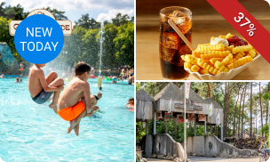 Entree buitenzwembad of minigolf + friet en frisdrank of pizza