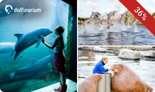 Entree voor het Dolfinarium