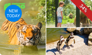 Gehele dag entree tot Eindhoven Zoo