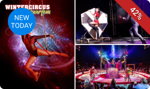 Ticket voor Wintercircus Haarlem