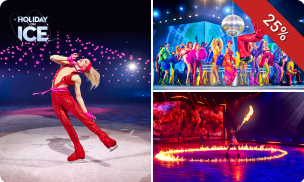 Ticket voor Holiday on Ice - No Limits