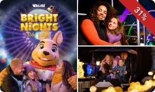 Dagentree Walibi Holland tijdens Bright Nights + overnachting voor 4 of 8 in Walibi Village