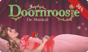 Entree Doornroosje de Musical