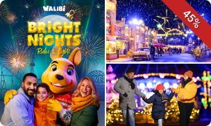 Entree Bright Nights in Walibi Holland