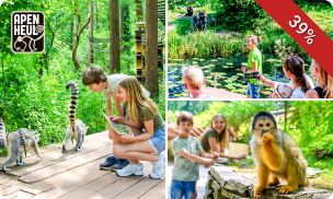 Dagentree voor Apenheul