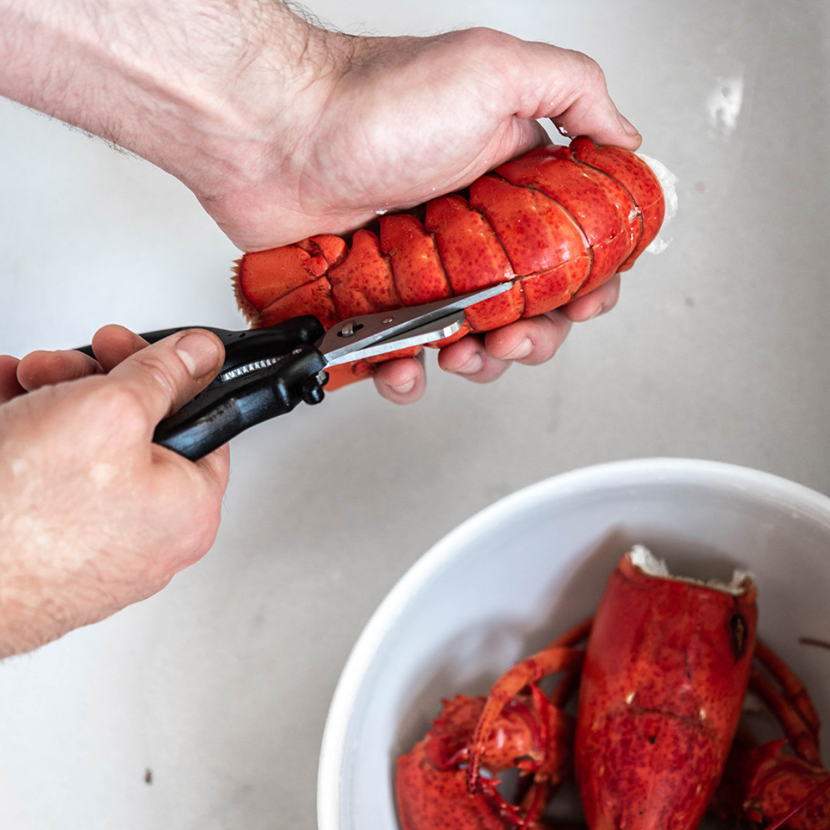 Seasonal Dish