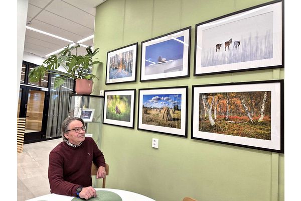 Juhani Ronkainen tietää töyhtöhyypän olevan värikäs lintu – Valokuvat ovat esillä kahvilassa