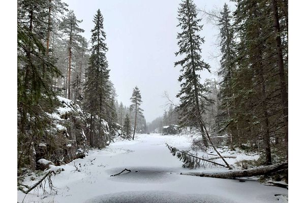 Työryhmän esitys moninkertaistaisi Hiidenportin kansallispuiston pinta-alan ja toisi mukaan toisen Hiidenportin