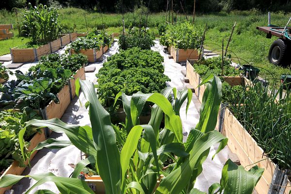 Laakajärven yhteisöpuutarha on ehdolla vuoden Leader-kylähankkeeksi