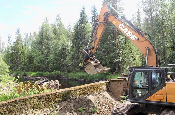 Historiallinen Louhikosken pato puretaan – Tavoitteena on palauttaa järvitaimen Tipasjoelle