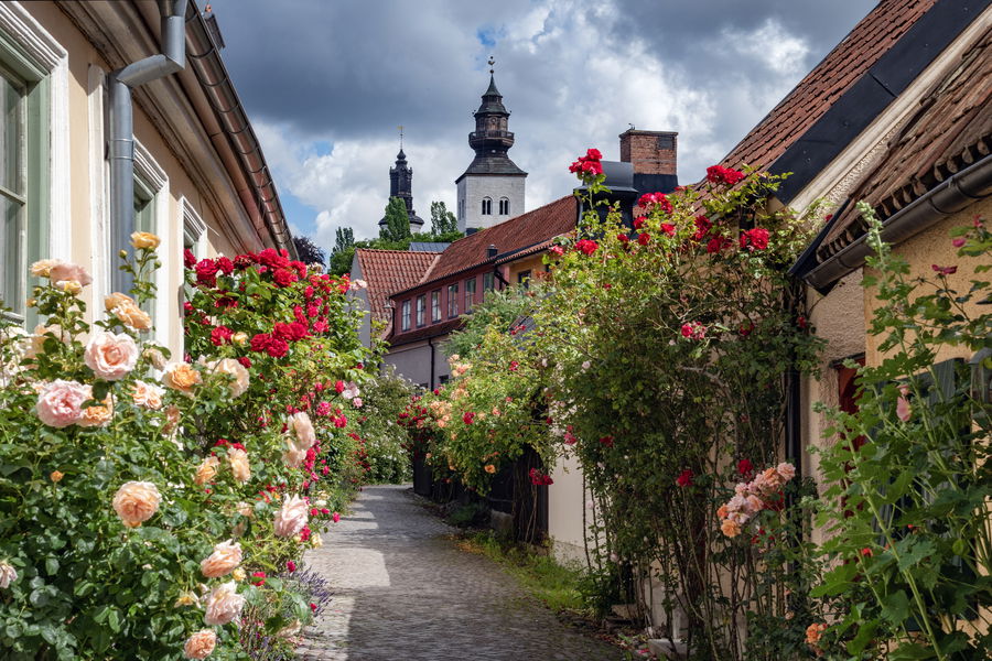 Busrejse til Gotland