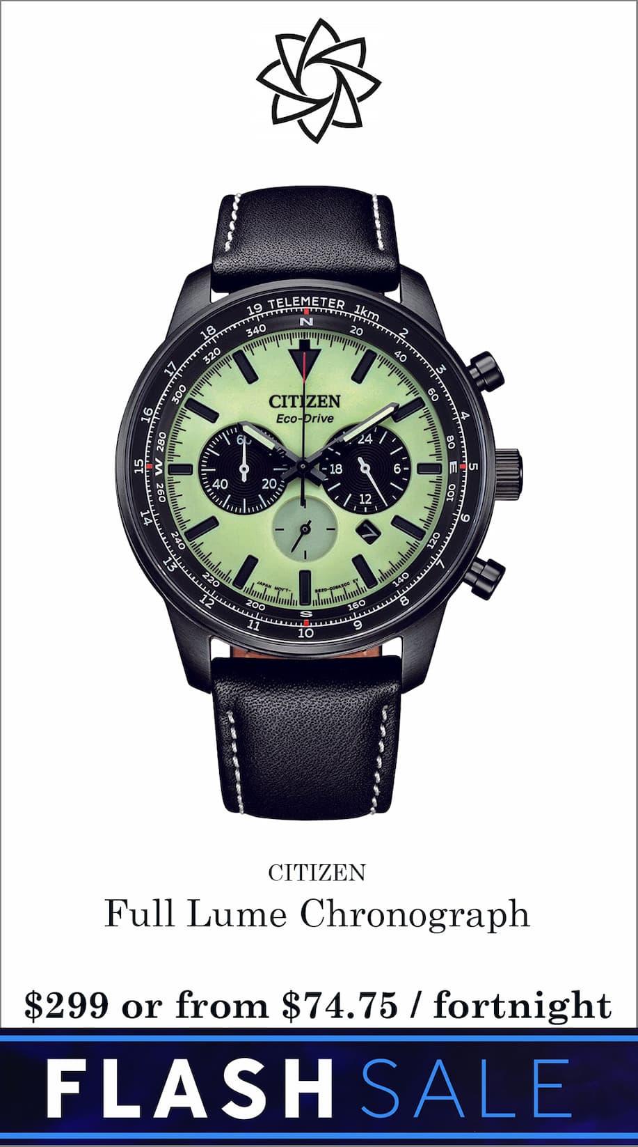 citizen full lume dial chronograph