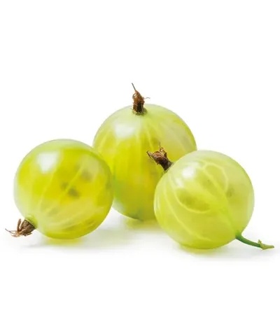 Stĺpovitý egreš žltý od 3 ks