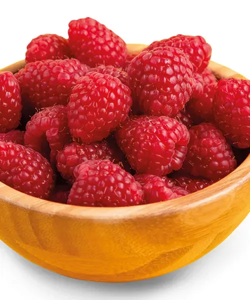 Malina 'Autumn Bliss®'