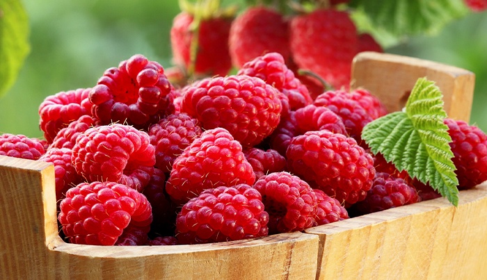 Získajte k svojmu nákupu hnojivo ZDARMA!