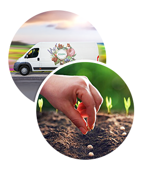 Darček: Tisickvet univerzálné hnojivo pri nákupe tovaru v hodnote nad 79 €.  Pri nákupe nad 140 € je  poštovné zadarmo.