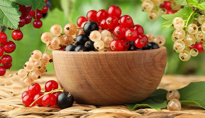 Získajte k svojmu nákupu hnojivo ZDARMA!