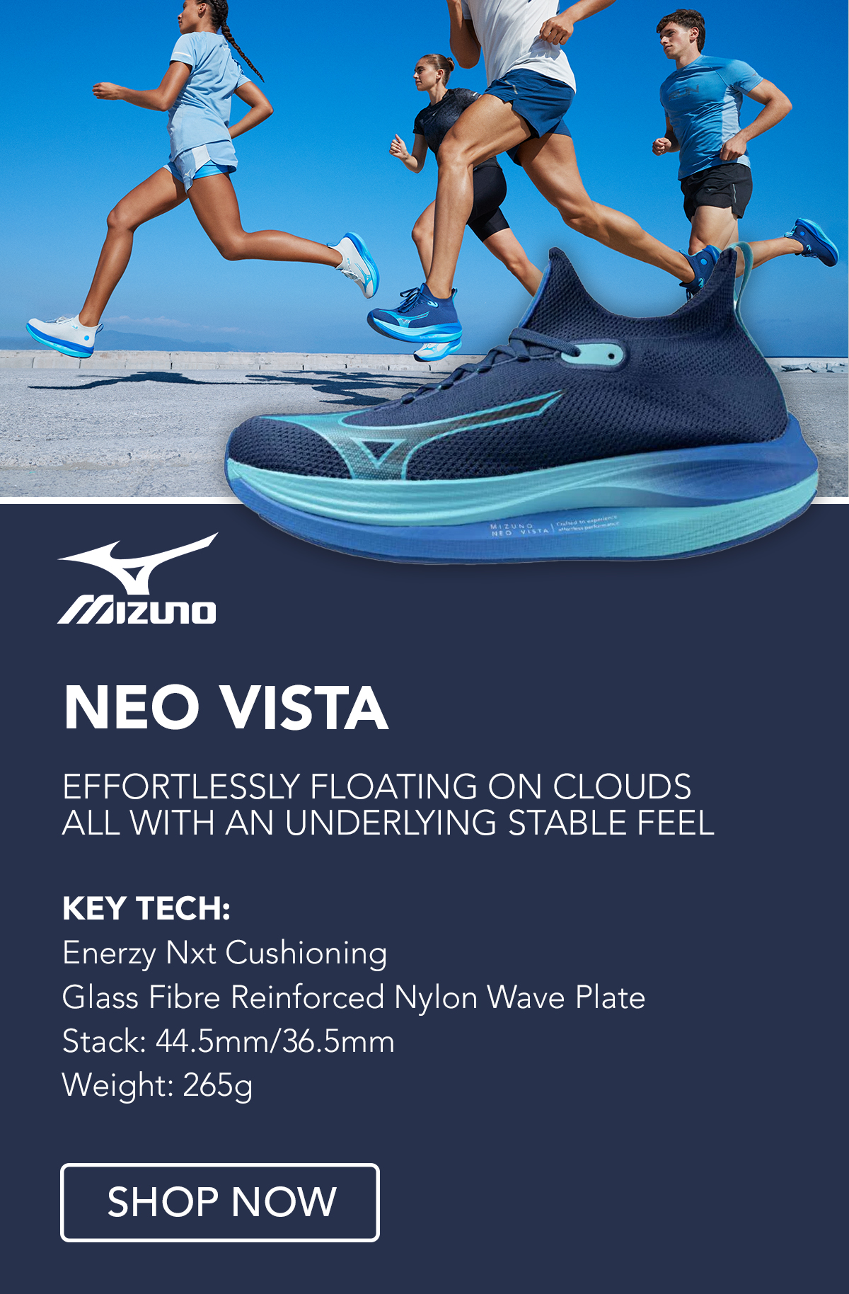 Mizuno Neo Vista