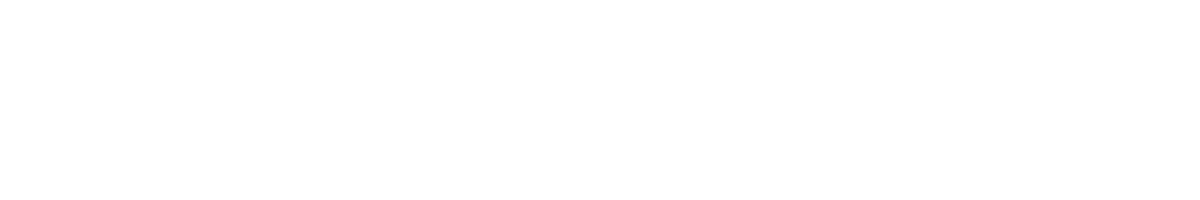 Big Brands. Small Prices.