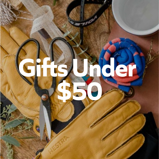 Gifts under $50