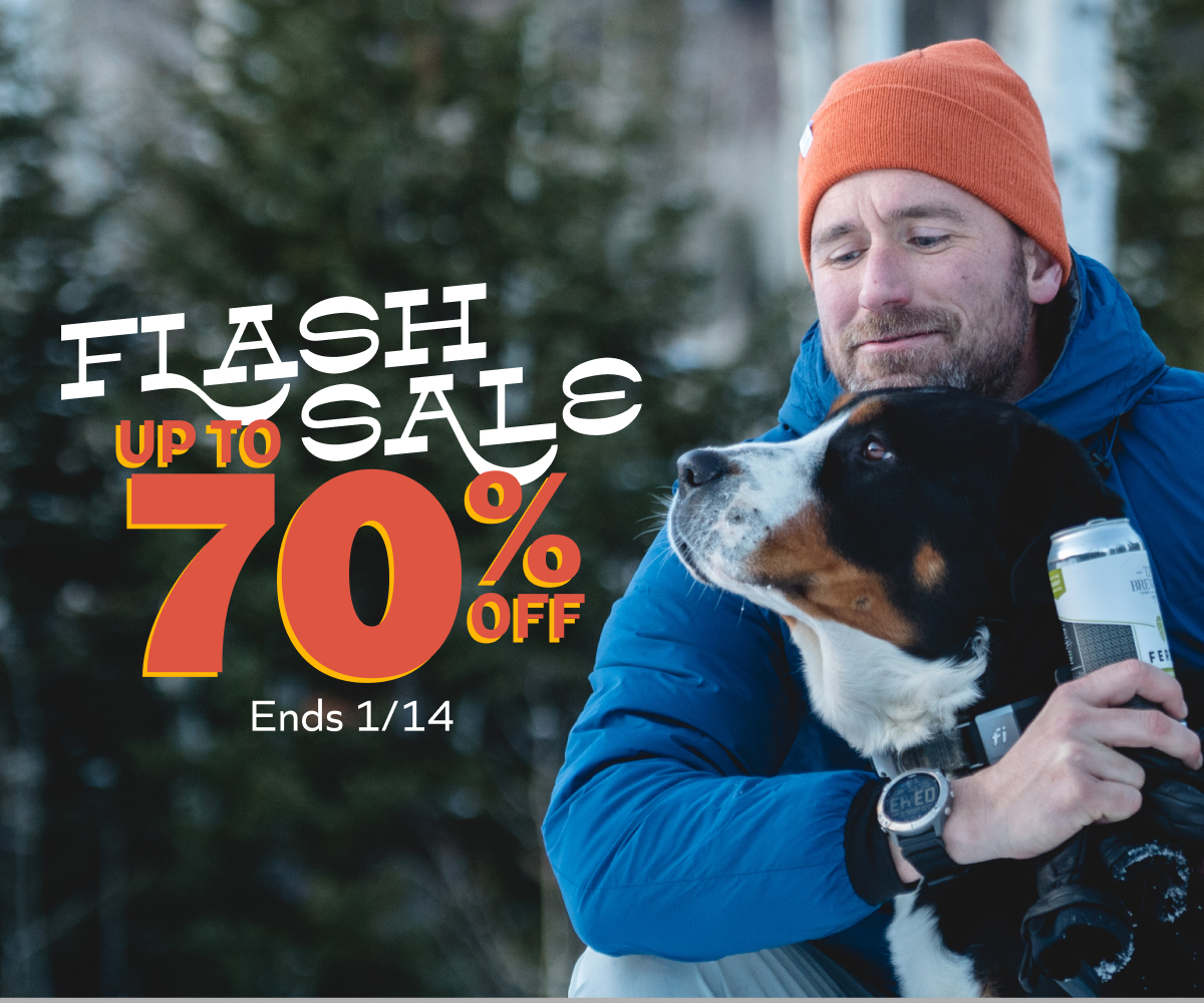 Flash Sale Hero