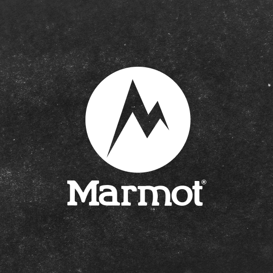 Marmot